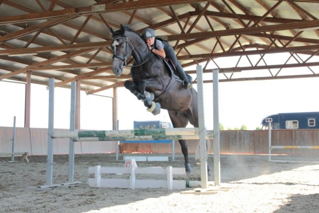  club ecuestre le rondini en noceto 